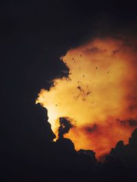 Silhouette tree against sky at night