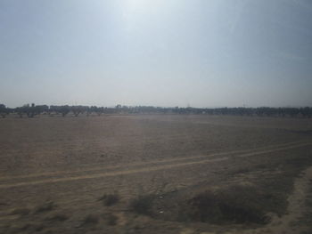 Scenic view of field against clear sky