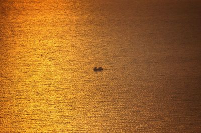 Scenic view of sea during sunset