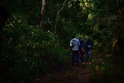 Rear view of men walking in forest