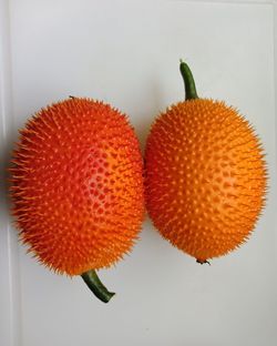 Directly above shot of orange fruit on white background