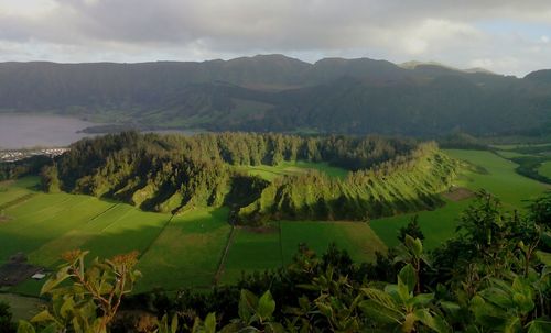 Scenic view of agricultural landscape against sky