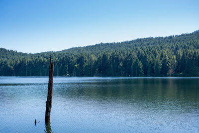 Scenic view of calm lake against clear sky