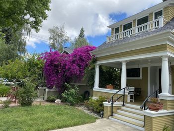 Purple flowering plants by swimming pool against building