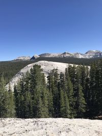 Scenic view of landscape against clear blue sky