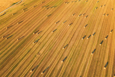 Full frame shot of agricultural field