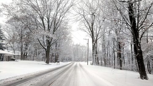 Snow covered road amidst bare trees in city