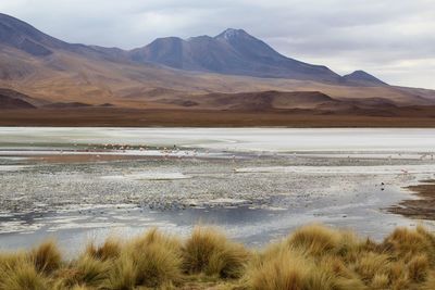 Scenic view of lake and mountains against sky