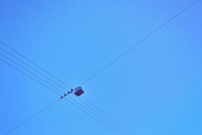 Low angle view of bird flying against blue sky