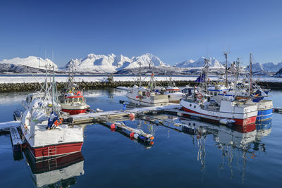 Norway, troms og finnmark, oldervik, marina in secluded fishing village