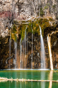 View of waterfall in forest