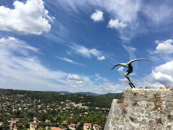 Low angle view of bird flying against cloudy sky