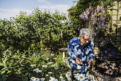 Man in summer garden