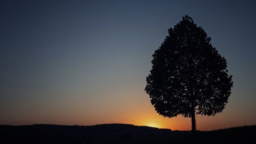 Silhouette trees on field against sky at sunset