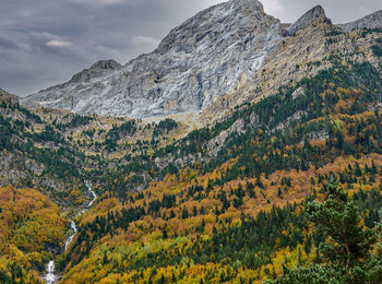 Views at the entrance to the bujaruelo valley in autumn, huesca, spain.