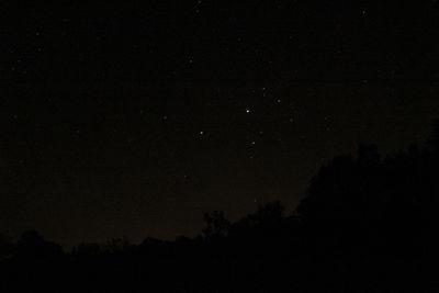Low angle view of tree against star field