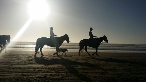 Silhouette people riding horse on sand at beach against clear sky