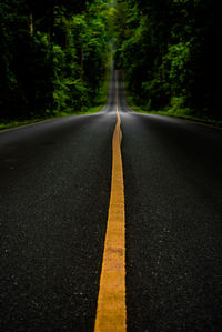 Surface level of empty road along trees