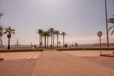 Palm trees on beach against clear sky