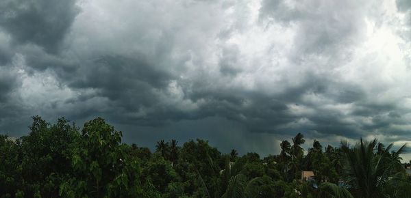 Panoramic view of storm clouds over plants