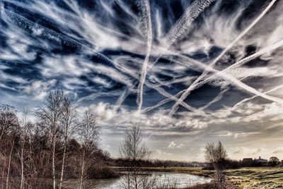 Bare trees against cloudy sky