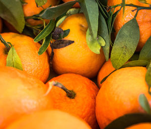 Full frame shot of orange