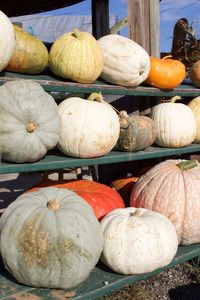 Close-up of pumpkins for sale at market