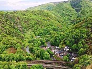 High angle view of trees on mountain