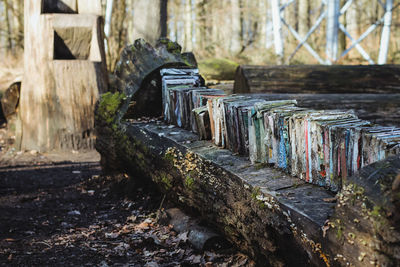 Old books, old books in the forest, forest library