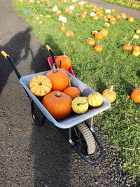 High angle view of fruits on table