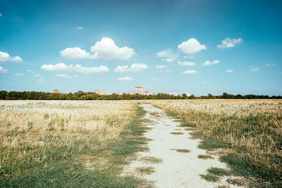 Scenic view of field against sky