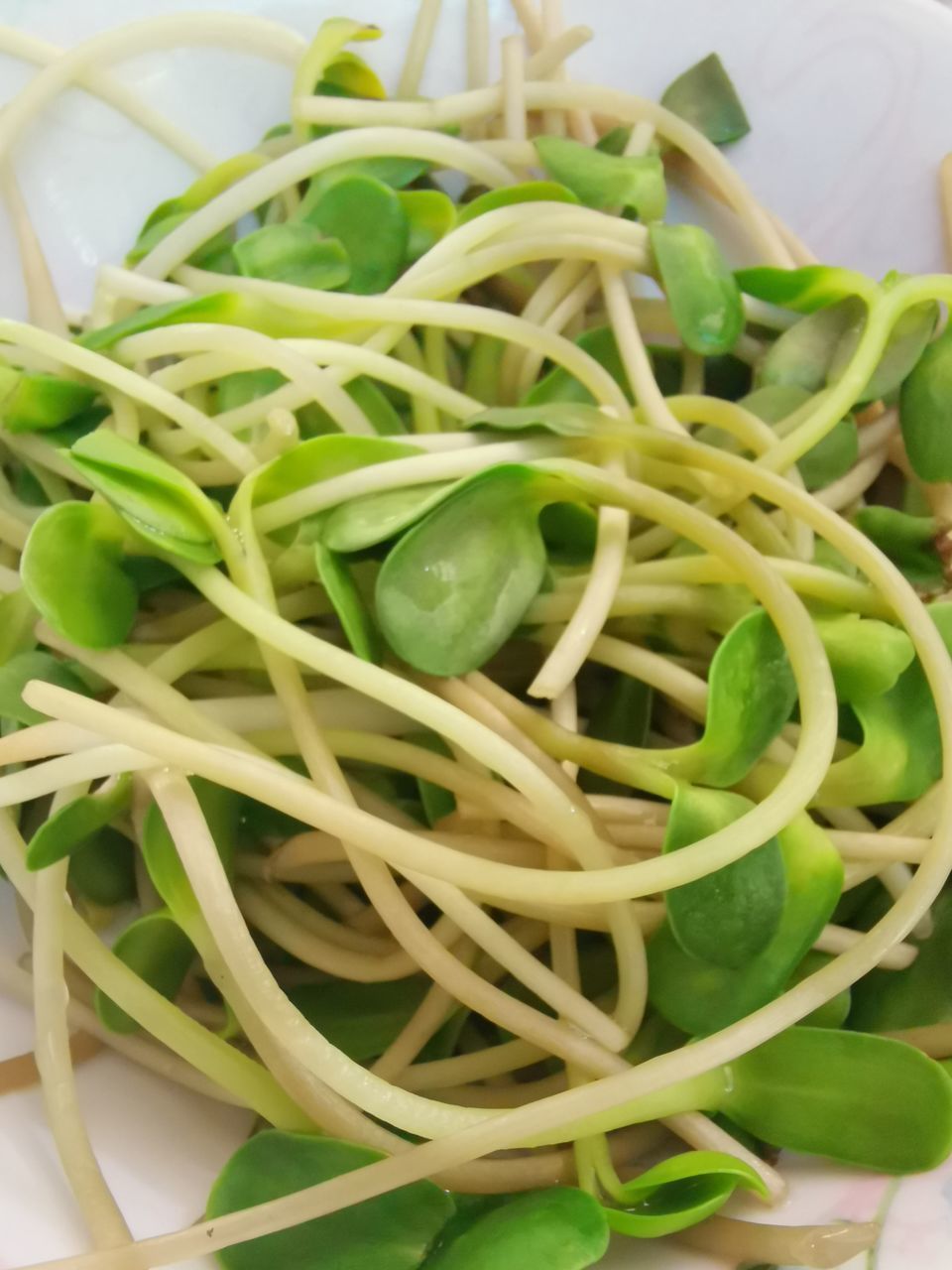 HIGH ANGLE VIEW OF SALAD IN BOWL