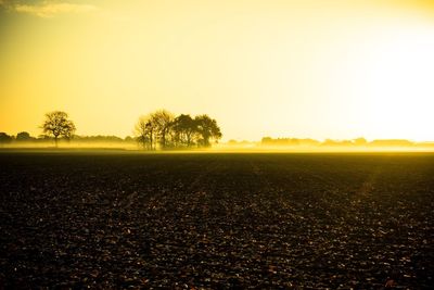 Scenic view of field against clear sky at sunset