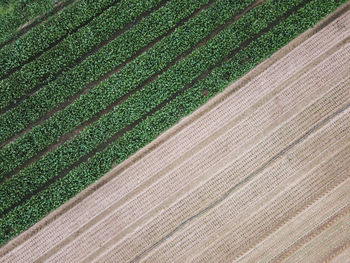 Full frame shot of farm