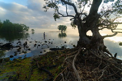 Scenic view of lake against sky