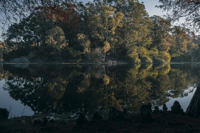 Trees by lake against sky during autumn