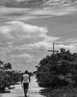 Silhouette of woman standing on tree trunk