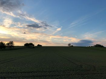 Scenic view of agricultural field against sky during sunset