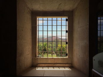 Plants seen through window of abandoned building