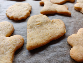 High angle view of cookies