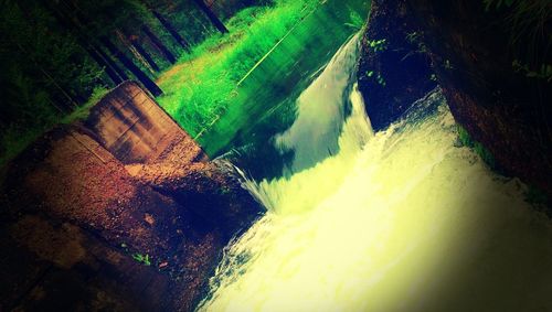 View of waterfall in forest