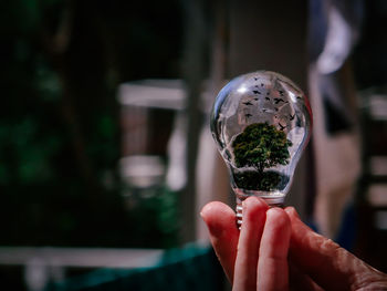 Close-up of person holding ice cream cone