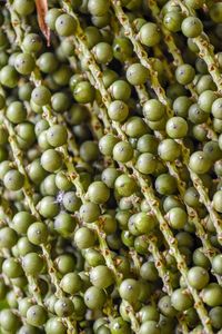 Full frame shot of berries
