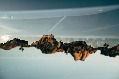 Close-up of crab on landscape against sky