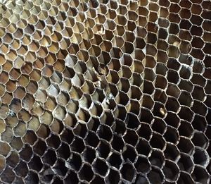 Full frame shot of honey comb