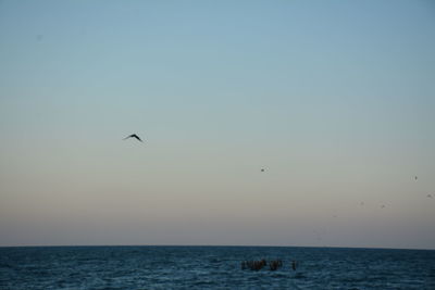 Scenic view of sea at sunset