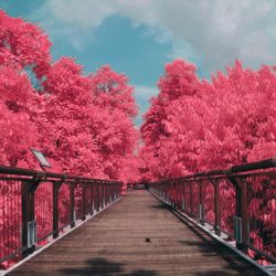 View of footbridge against sky
