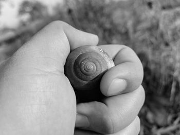 Close-up of hand holding snail