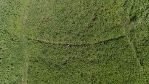 High angle view of road