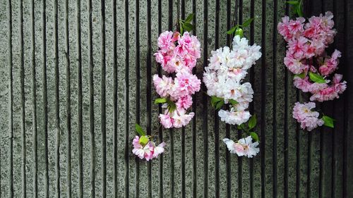 Close-up of flower on wooden plank